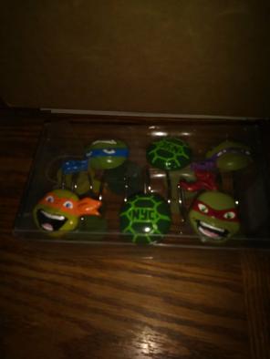 Tmnt Shower curtain hooks