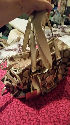 Coach pet Carrier