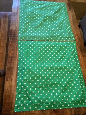 Pottery Barn Teen Euro Covers Free Ship!