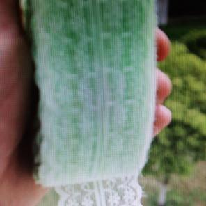 Nwt mint green bilateral lace