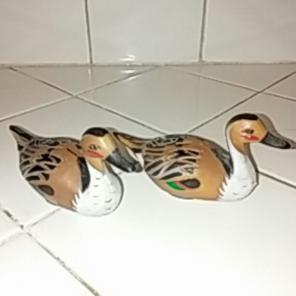 Duck salt & pepper shakers