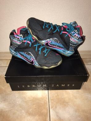 Lebron 12 GS "23 Chromosomes"
