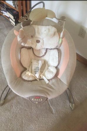 Gray And Pink Bouncer