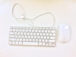 Apple Wired Keyboard With Magic Mouse 1