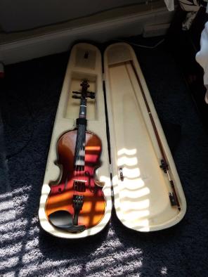 violin