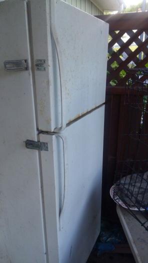 Fridge