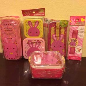 New 5 piece lunch container set