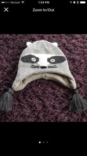 Cute Raccoon Hat