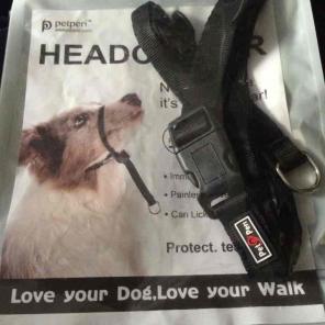 Dog headcollar