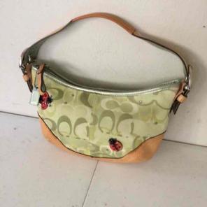 Coach Hobo Bag 6723