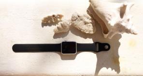 Black Apple Watch Band