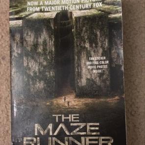 The Maze Runner