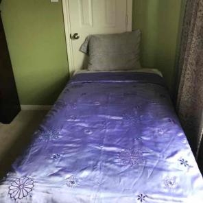 Purple Twin flowers quilt cool