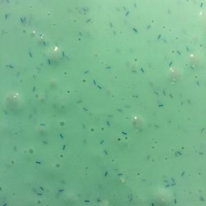 Aquamarine Extravaganza