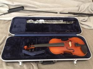 New Violin Eastman VL80 4/4
