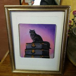 Black cat packed up