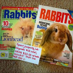 Rabbit Magazine Lot