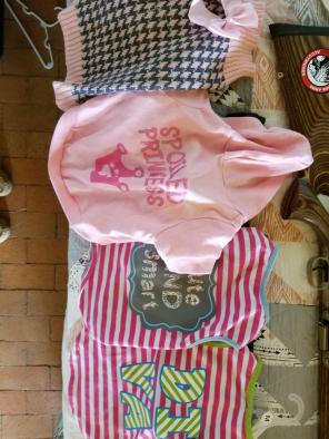 Dog shirts