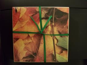 Fall coaster set