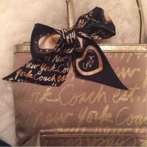 Coach silk handkerchief