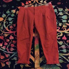 Burnt Orange Zara Slacks