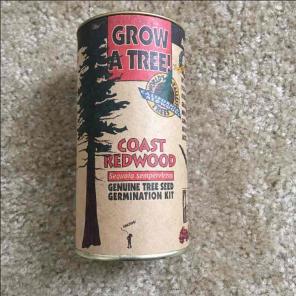 Grow a Tree - Coast Redwood