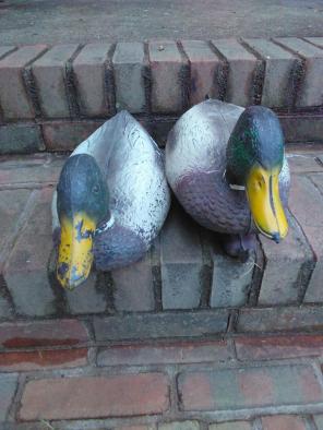 Vintage Duck decoy Sport Plast mallard d
