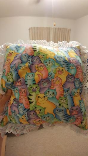 Cat pillow