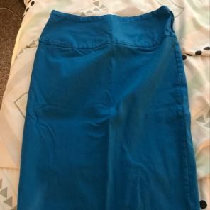 Blue Pencil Skirt