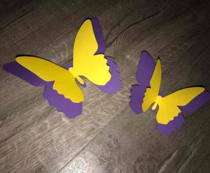 Butterflies Backdrop