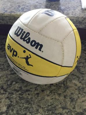 Wilson Beach Volleyball