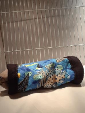 New Snuggle Tunnel for Hamster