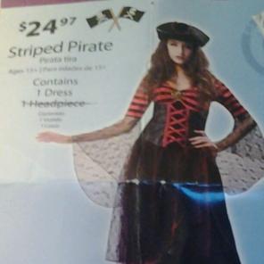 Womens pirate costume