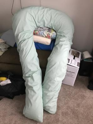 Huge Full Body Pillow With Case. Nwot