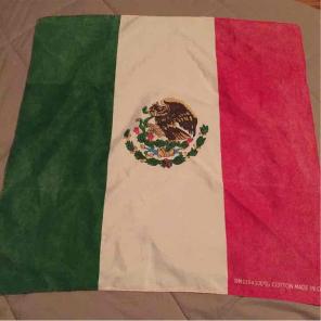 Mexican Flag/Bandana