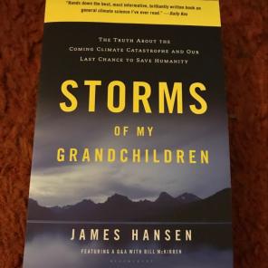 Storms Of My Grandchildren