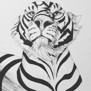 Tiger ink drawing