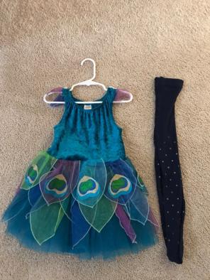 Gymboree Halloween Costume Size 4-5t