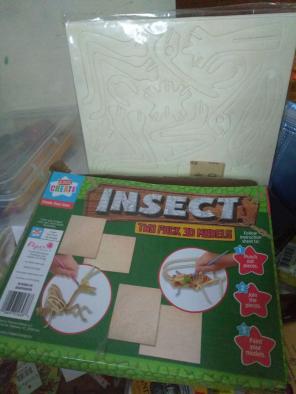 Insect 2 Pack 3D Models Only