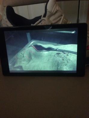 Kindle fire 8inch 16GBs