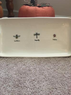 Rae Dunn Bugs Set