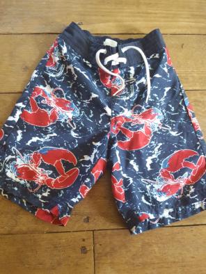 3t swim trunks