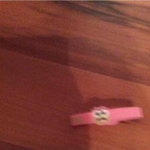 Sweet frog band