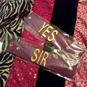 Harley Quinn Yes Sir Cuffs Bracelets NEW