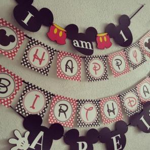 Mickey mouse bundle