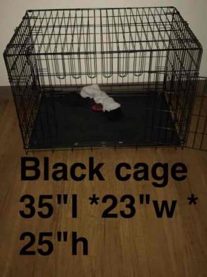 Cage in perfect condition.