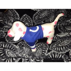 Polka Dot PINK NFL Colts Dog