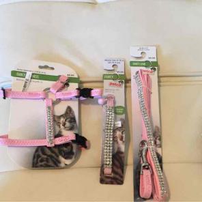 Cat or small dog leash and harness