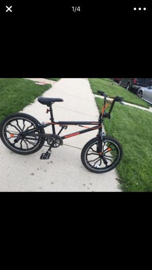 Mongoose