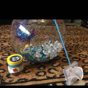 fish tank